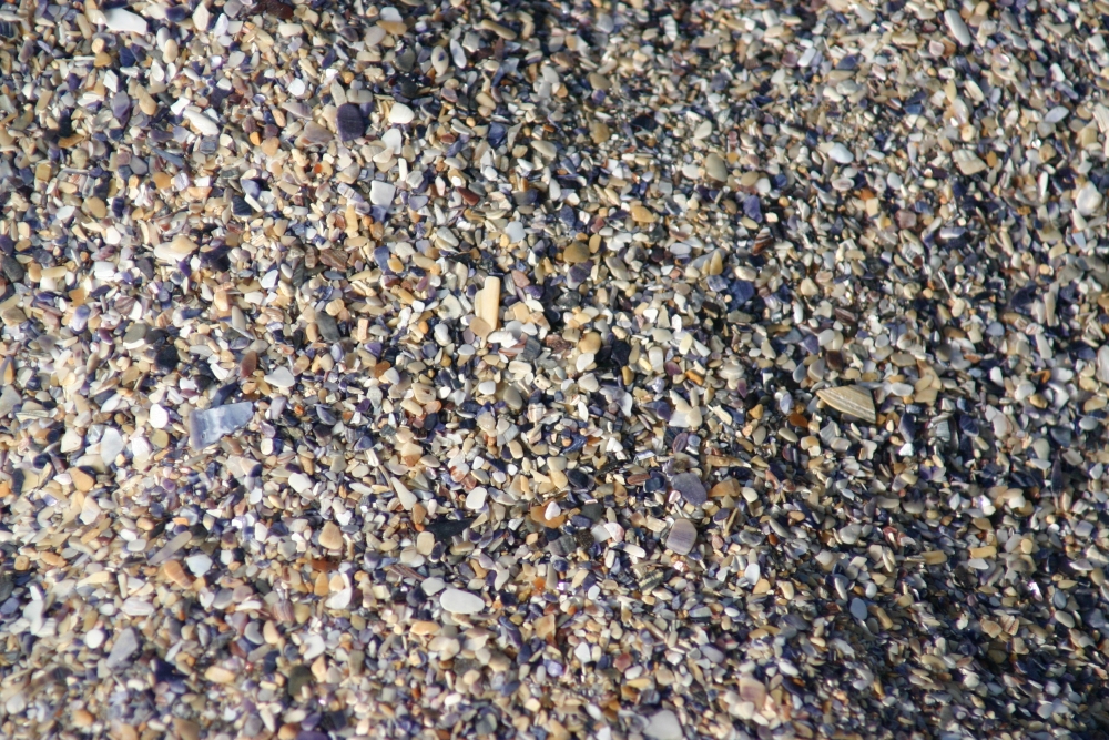 Sea pebbles - Black Sea, Romania 2