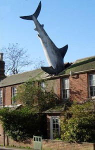 The Shark - Headington, Oxford