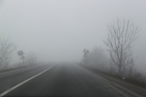 fog again