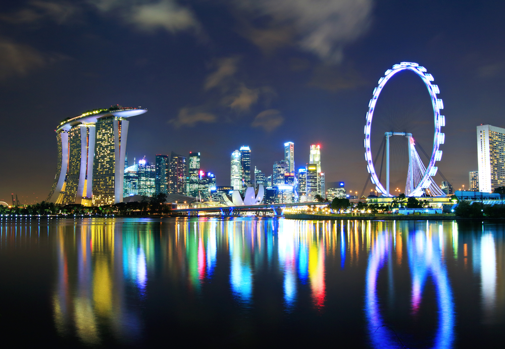 Singapore flyer and city