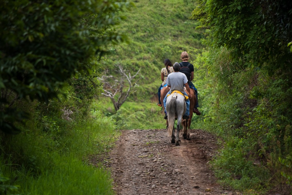 Tourists on horseback in Costa Rican cloud forest