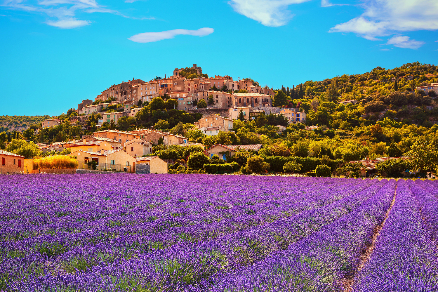 Simiane la Rotonde village and lavender. Provence, #France, #travel #best #photos and #places 