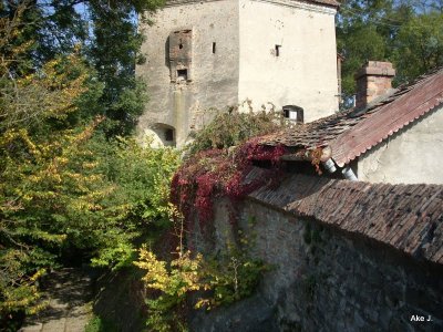 sighisoara1