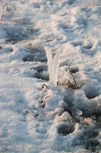 Icicles - Winter - Romania 3