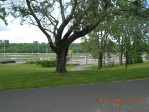 Lachine Canal - Quebec, Canada - 20