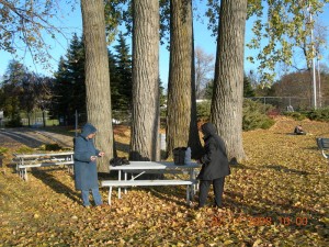 Parc des chenes - Canada - 19