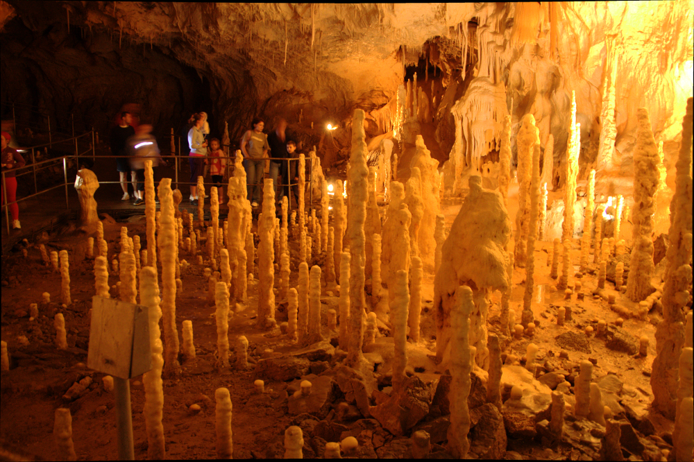 Bears' Cave - Romania - 1