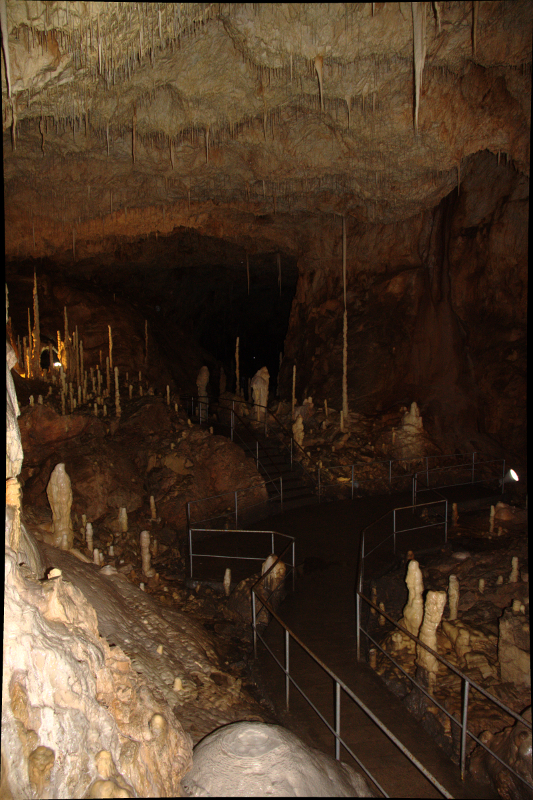 Bears' Cave - Romania - 2