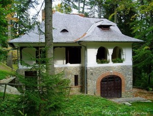 Nicolae Iorga's villa from Sinaia