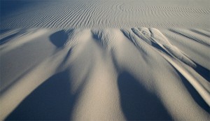 Khongoryn Els - the Singing Dunes 2