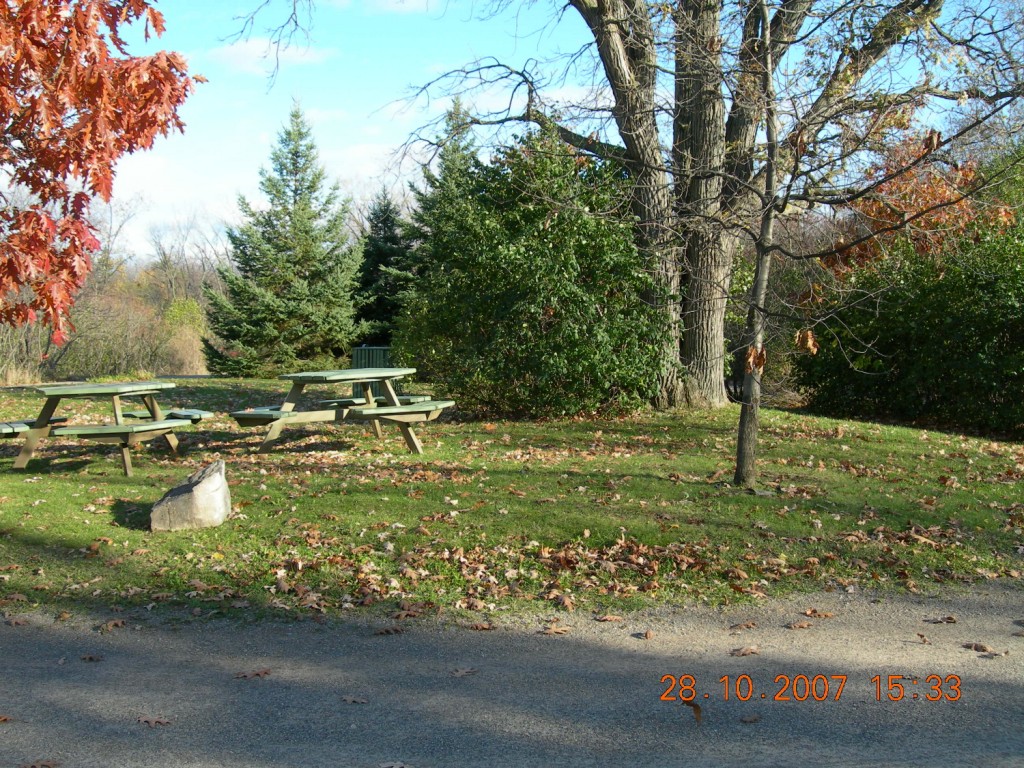 Bois-de-l'Île-Bizard Nature Park 11