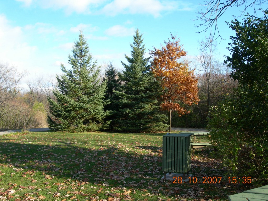 Bois-de-l'Île-Bizard Nature Park 14