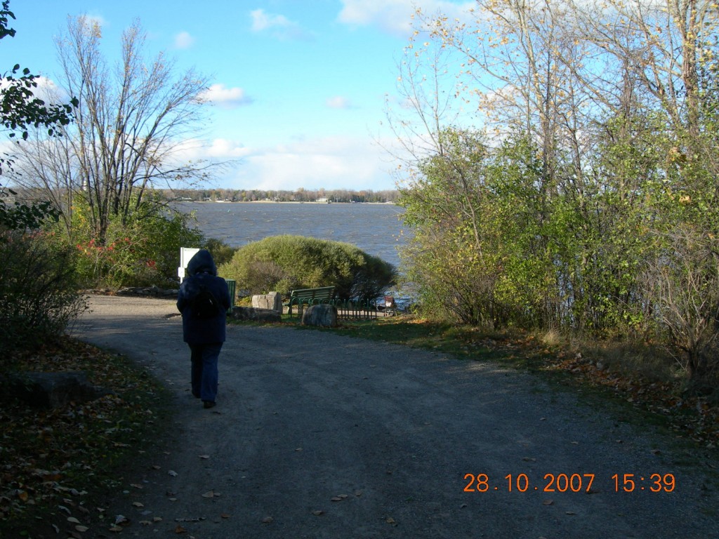 Bois-de-l'Île-Bizard Nature Park 15