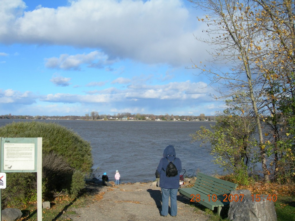 Bois-de-l'Île-Bizard Nature Park 16