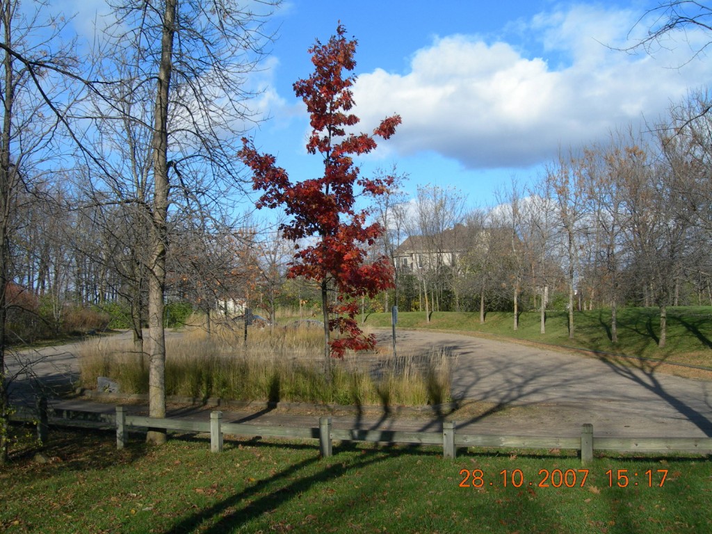 Bois-de-l'Île-Bizard Nature Park 2