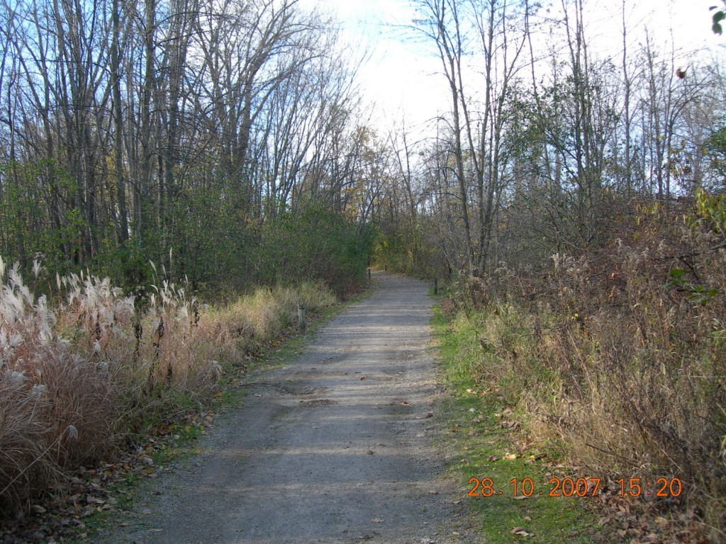 Bois-de-l'Île-Bizard Nature Park 