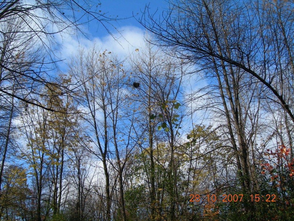 Bois-de-l'Île-Bizard Nature Park 