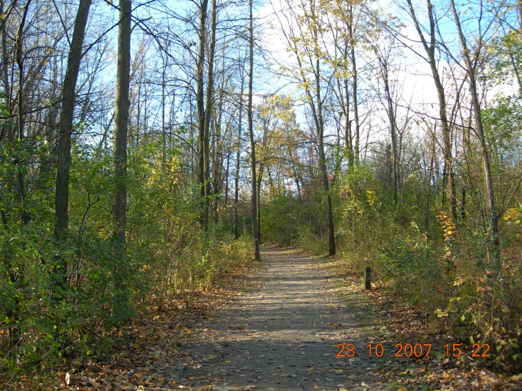 Bois-de-l'Île-Bizard Nature Park 6