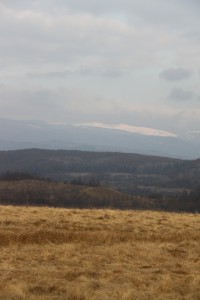 landscape 2