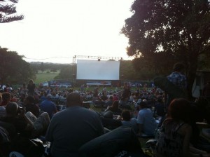 moonlight cinema