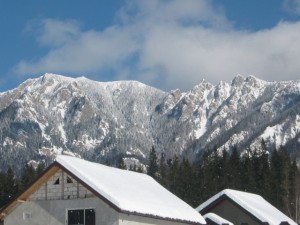 Cheia - mountain view