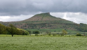 Roseberry