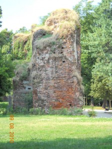 Sforza Castle (Castello Sforzesco) in Milan, Italy 8