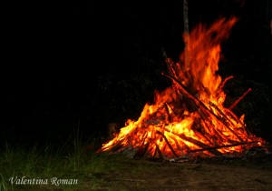 Campfire 5