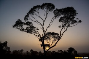 Misty Nullarbor - South Australia