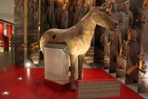 Horse from the Terracota Army