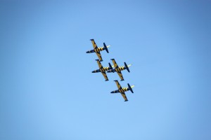 Baltic Bees formation at BIAS 2013