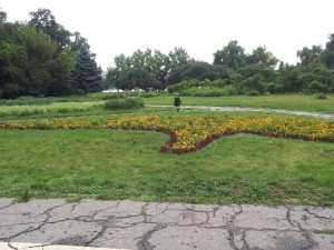 Herastrau park after a rain