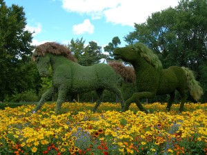 Montreal International Mosaicultures 2013 