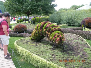 Montreal International Mosaicultures 2013 