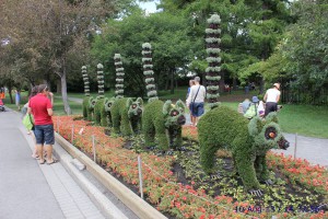 Montreal International Mosaicultures 2013 