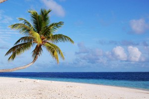 A beach in Maldives, photo by  KingKurt22