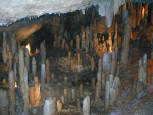 Harrison cave, Barbados