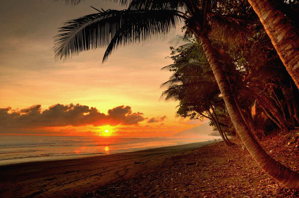 Sunset in a virgin beach of Corcovado National Park in Costa Rica