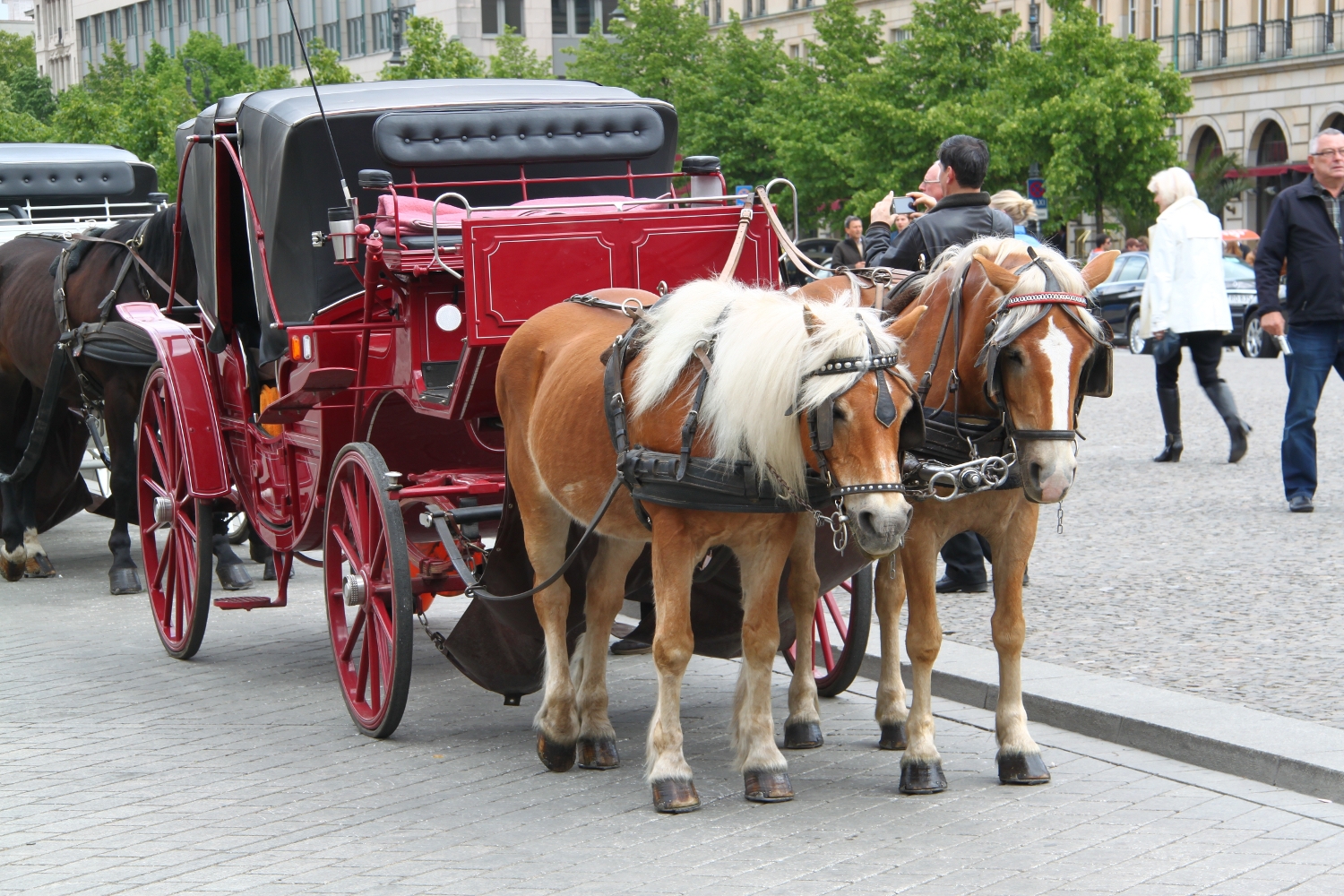 Horse carriage in Berlin