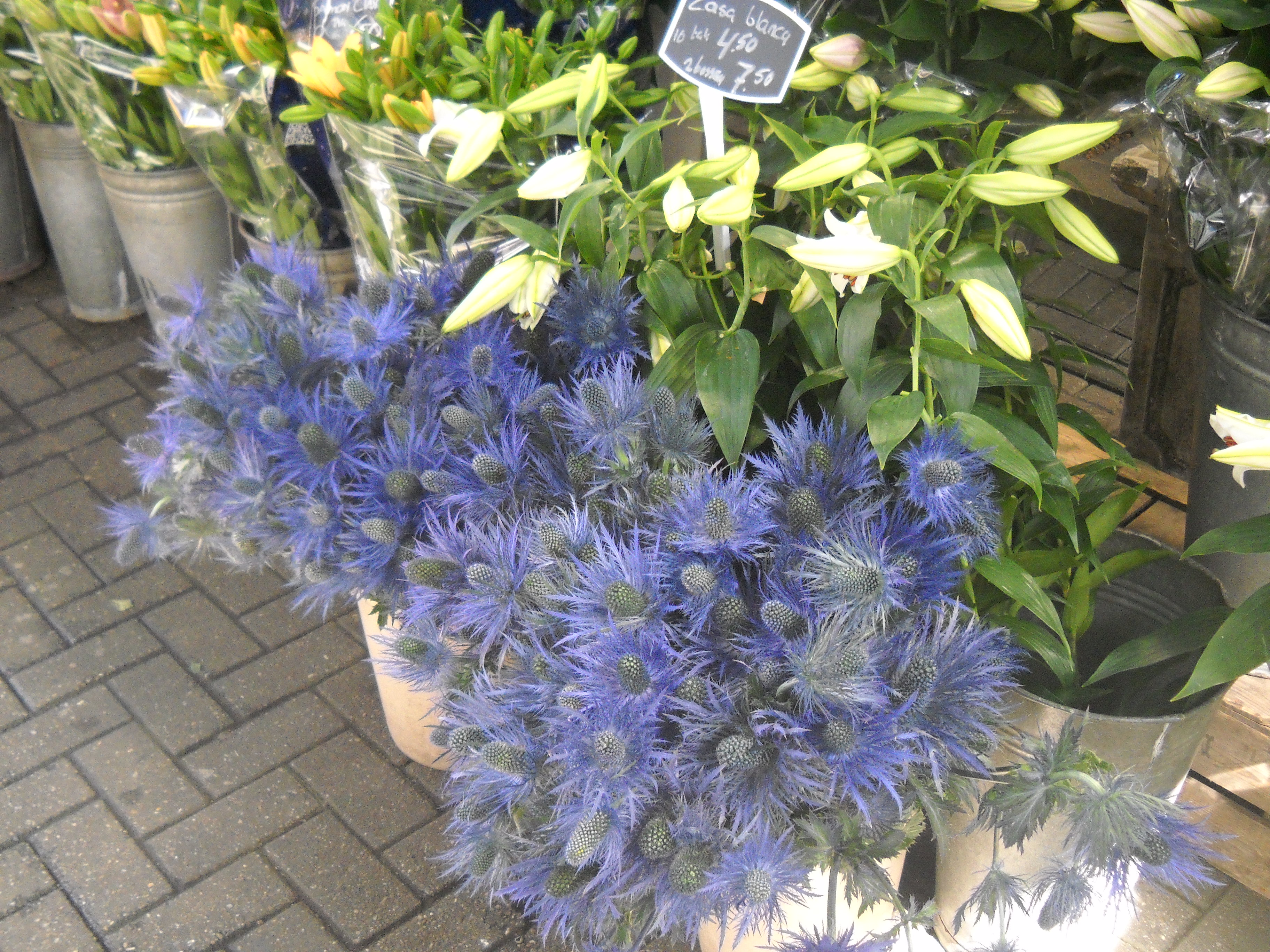 Amsterdam - Flower market