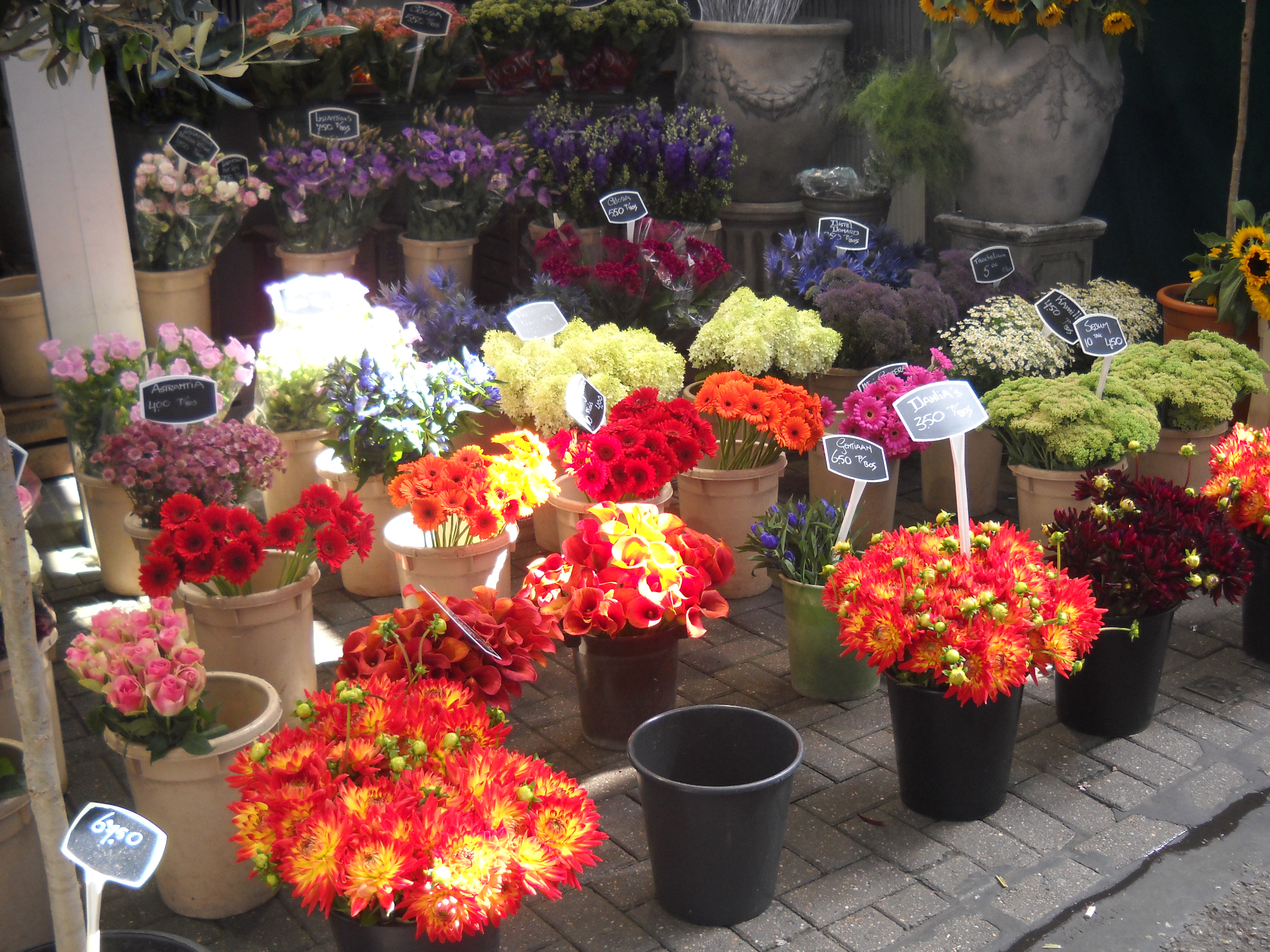 Amsterdam flowers - Flower market