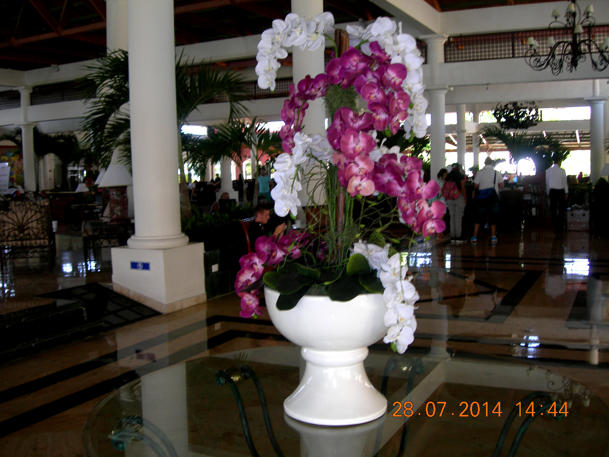 Lovely orchid arrangement in the Dominican Republic