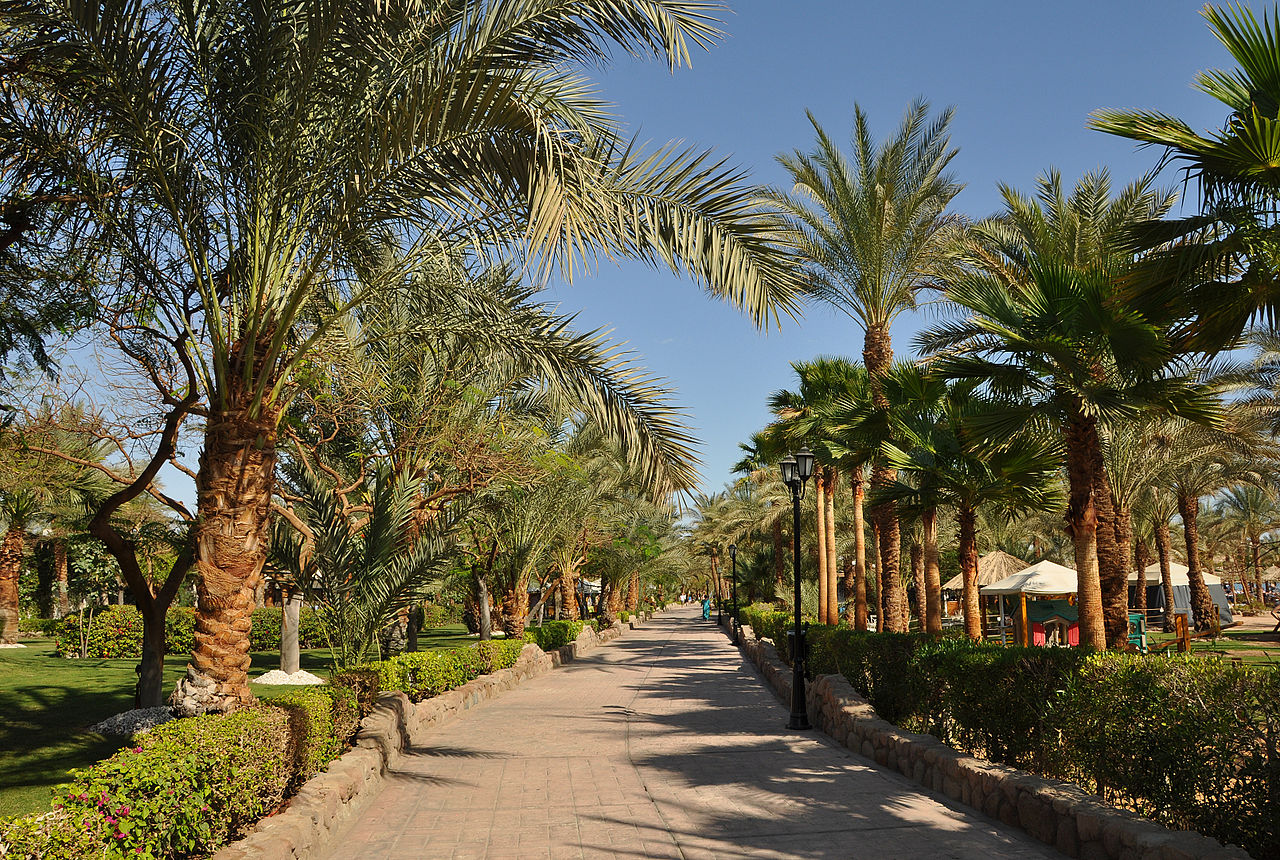 Naama Bay Promenade