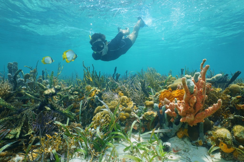 Man snorkeling