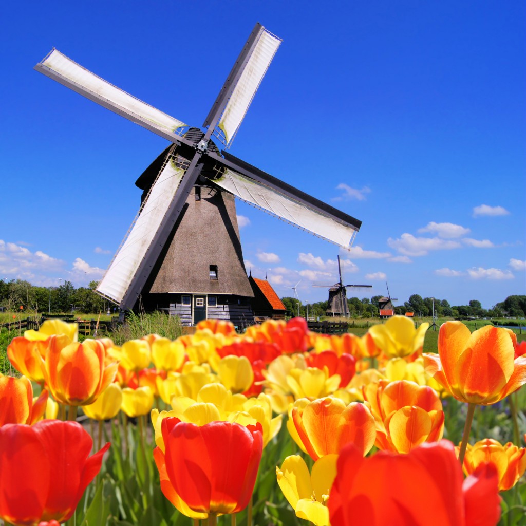 What You Need To Know Before Visiting The Netherlands Travel Moments In Time Travel