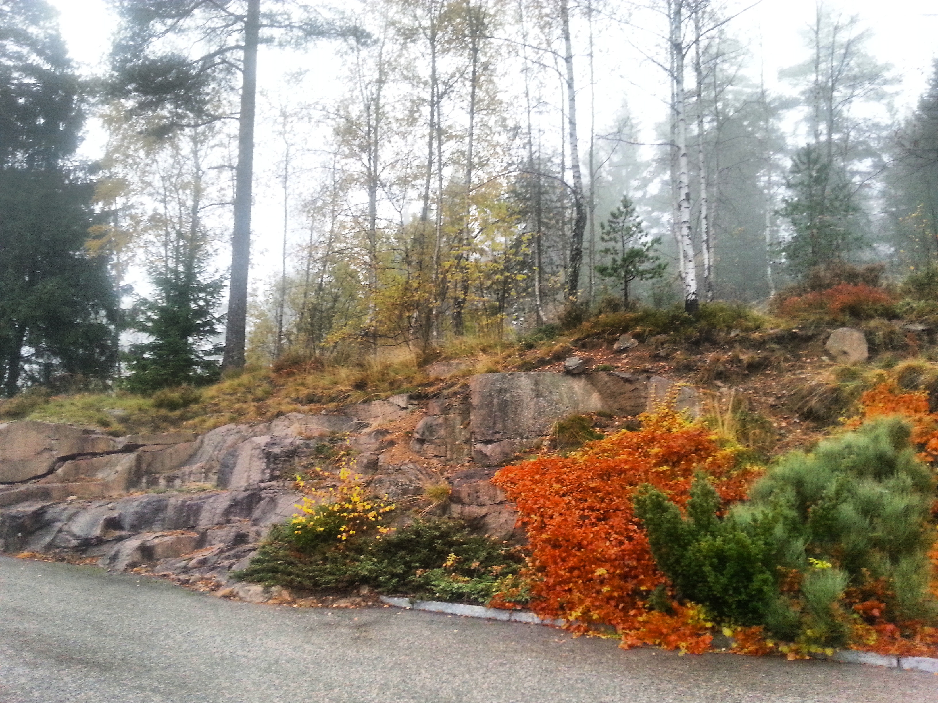 Oslo, Norway - fall colors