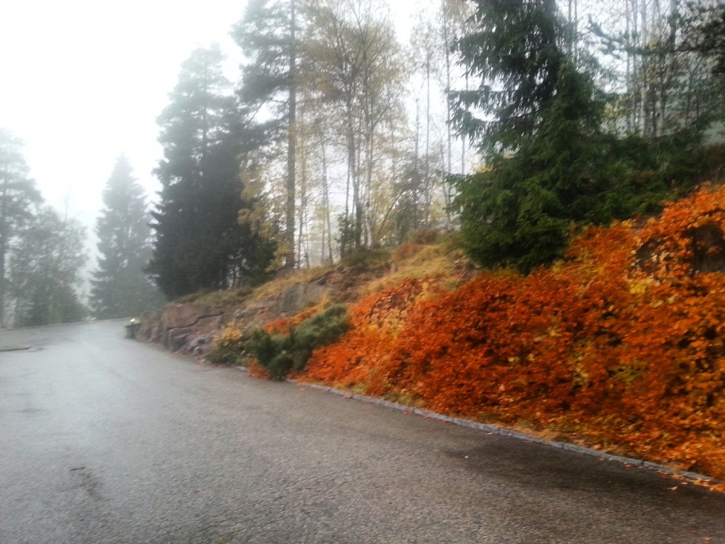Oslo, Norway  - fall colors