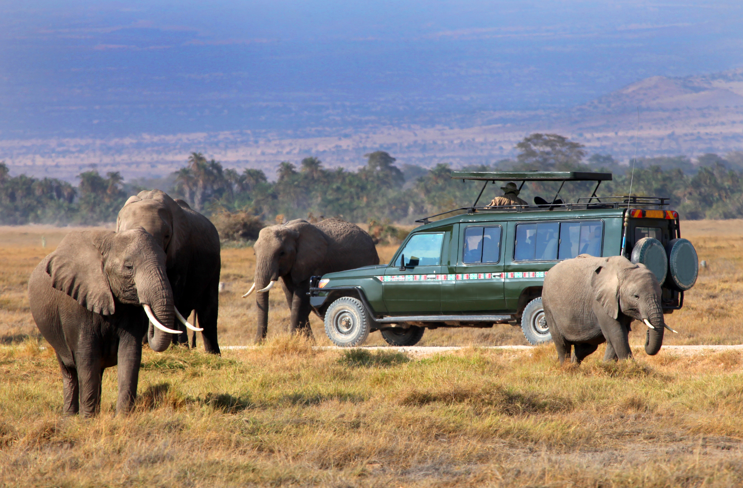Kenya - Masai Mara Reserve - elephants