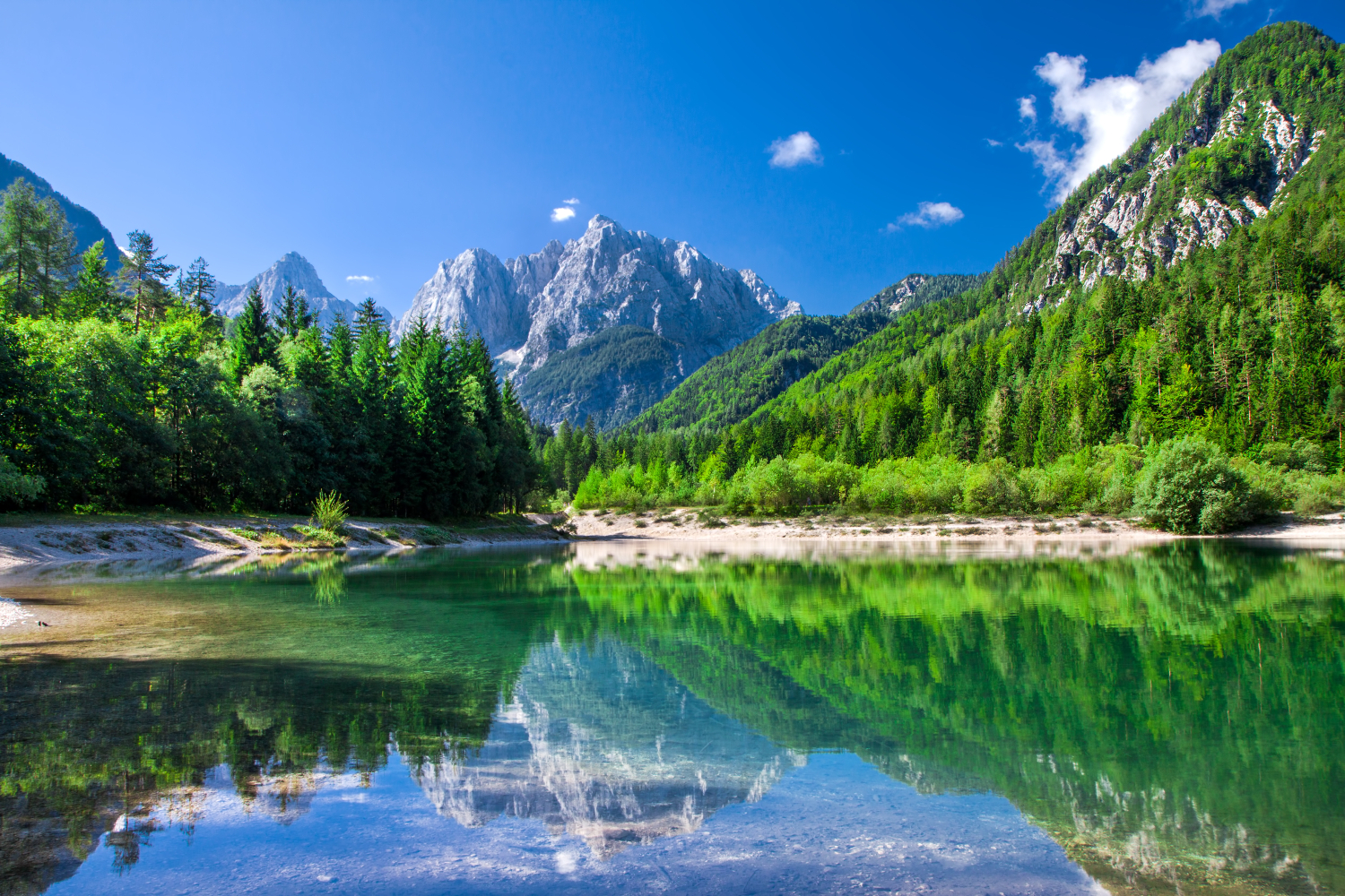 Valley in the Triglav National Park