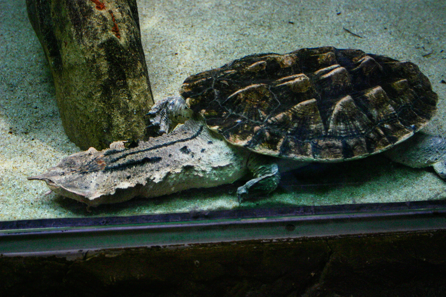 Aqua Terra Zoo in Vienna - Haus des Meeres